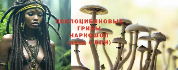 СК Надым